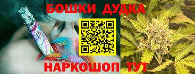 соль ск Партизанск