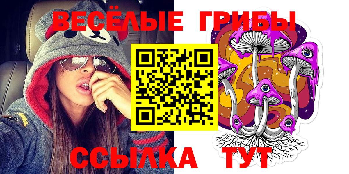 хочу наркоту  Вход с VPN  Советск  Галлюциногенные грибы Cubensis 